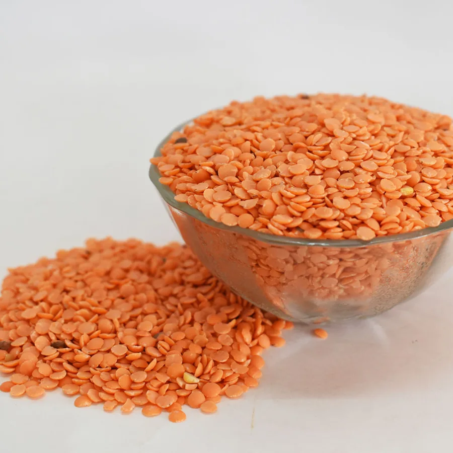 মসুর ডাল (মোটা)