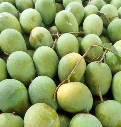 হিমসাগর আম